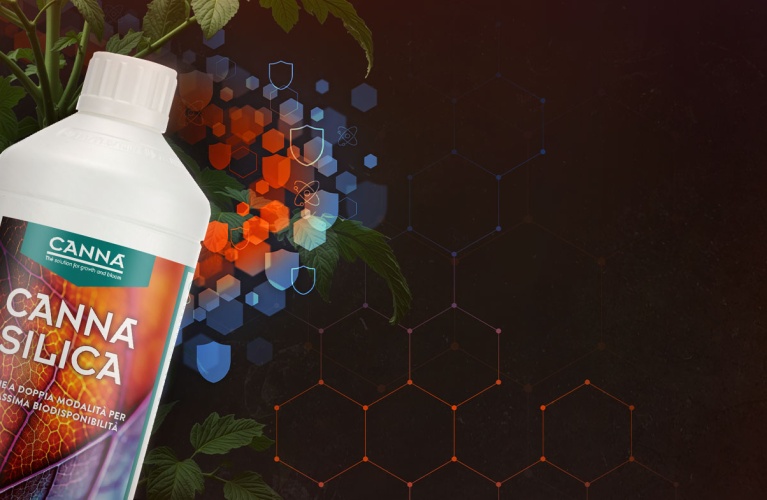 Shield Your Plants, Secure Your Yields