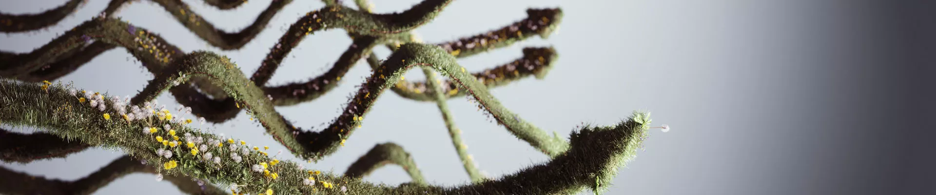 Come usare tutti gli strumenti a tua disposizione con il plant steering
