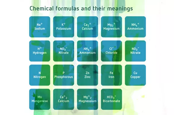 Interactions between nutrients