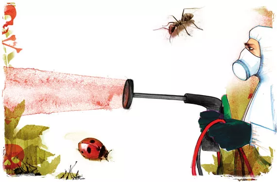 Come controllare i parassiti e le malattie? Biologico vs. chimico