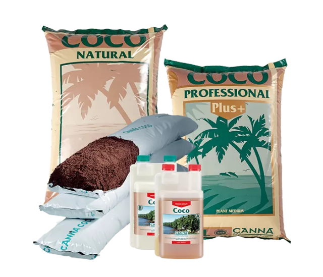 CANNA COCO