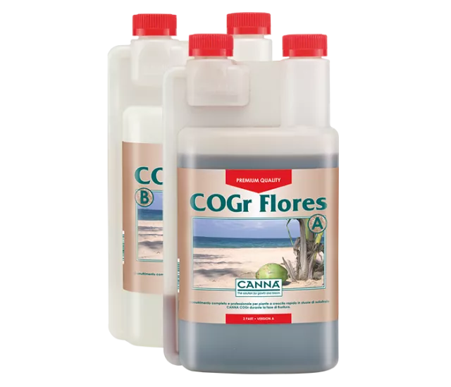 CANNA COGr Flores