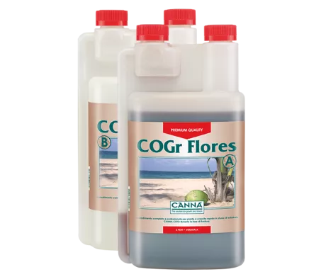 CANNA COGr Flores