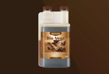 Bio Vega