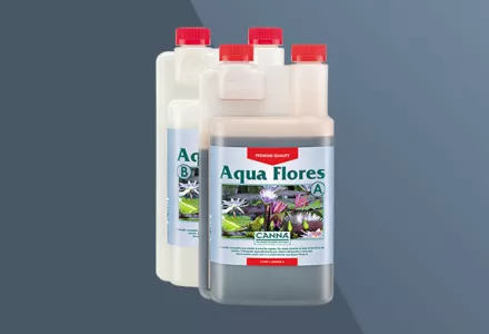 CANNA Aqua Flores