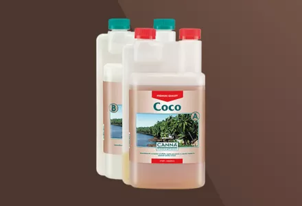 CANNA Coco A & B