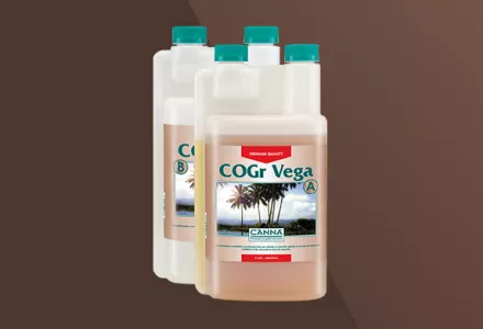 CANNA COGr Vega