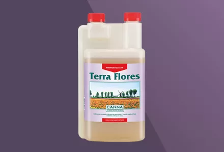 CANNA Terra Flores