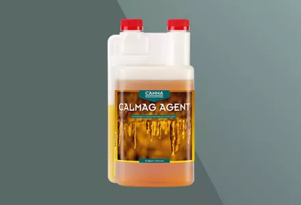 CANNA CALMAG AGENT