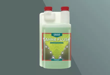 CANNA FLUSH
