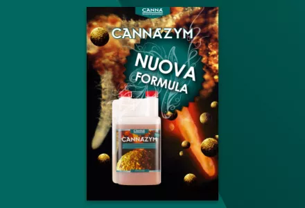 CANNAZYM Nuovo & Migliorato