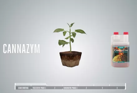 CANNAZYM