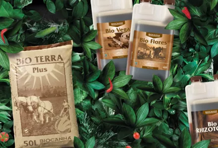 Novità 2025, CANNA parteciperà alla fiera italiana piú importante del settore giardinaggio