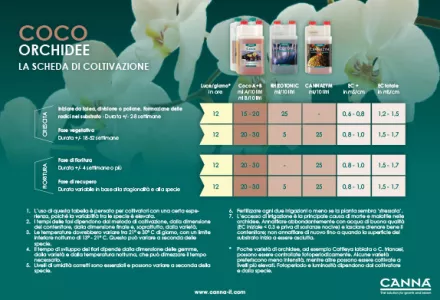 COCO Orchidee Cetrioli Programmazione coltivazioni