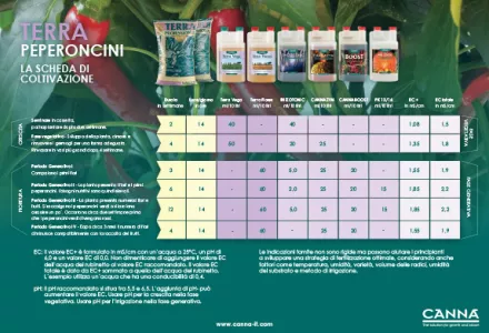 TERRA Peperoncini Programmazione coltivazioni