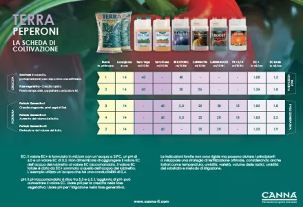 TERRA Peperoni Programmazione coltivazioni