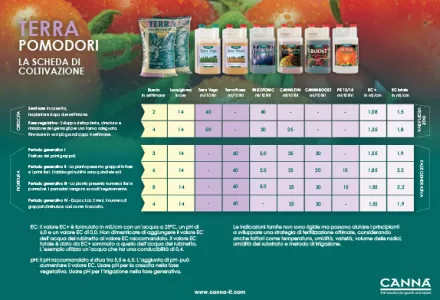 TERRA Pomodori Programmazione coltivazioni