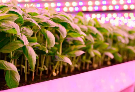 Adattarsi alle nuove luci – nessuna bottiglia speciale necessaria