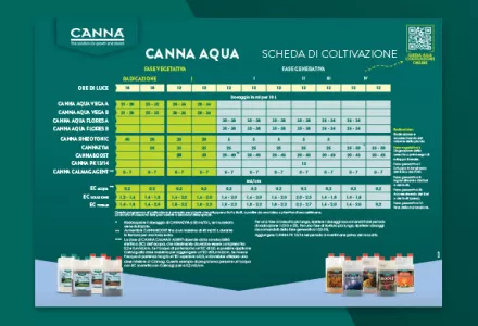 CANNA AQUA Grow Schedule