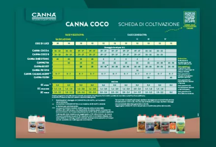 CANNA COCO Grow Schedule