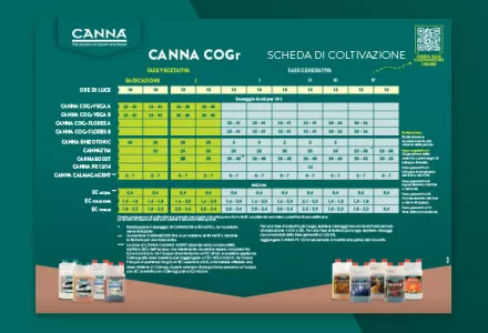 COGr Programmazione coltivazioni