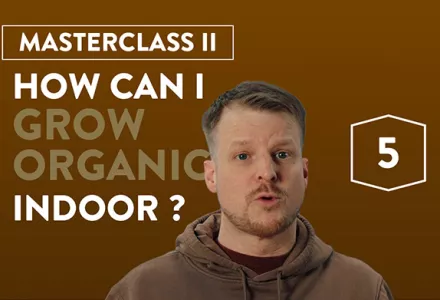 Coltivazione biologica indoor: come coltivare organico in modo corretto