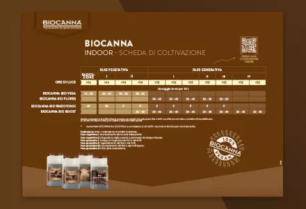 Schema di fertilizzazione con BIOCANNA (indoor)