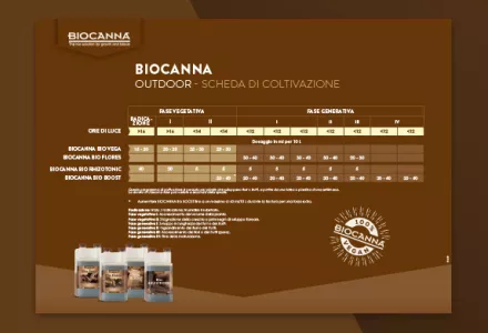 Schema di fertilizzazione con BIOCANNA (outdoor)