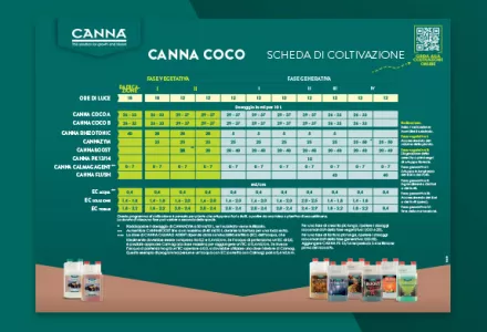 Schema di fertilizzazione con COCO