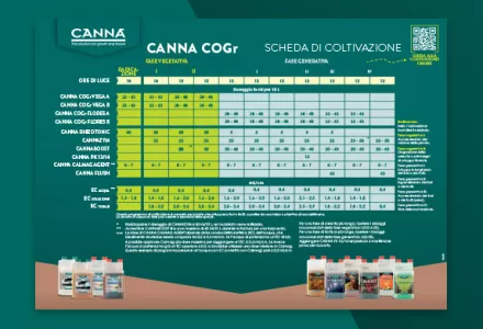 Schema di fertilizzazione con COGr